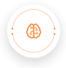 A picture of an orange and white brain on the side of a circle.