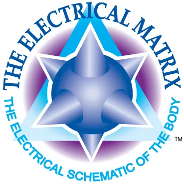 The electrical matrix logo